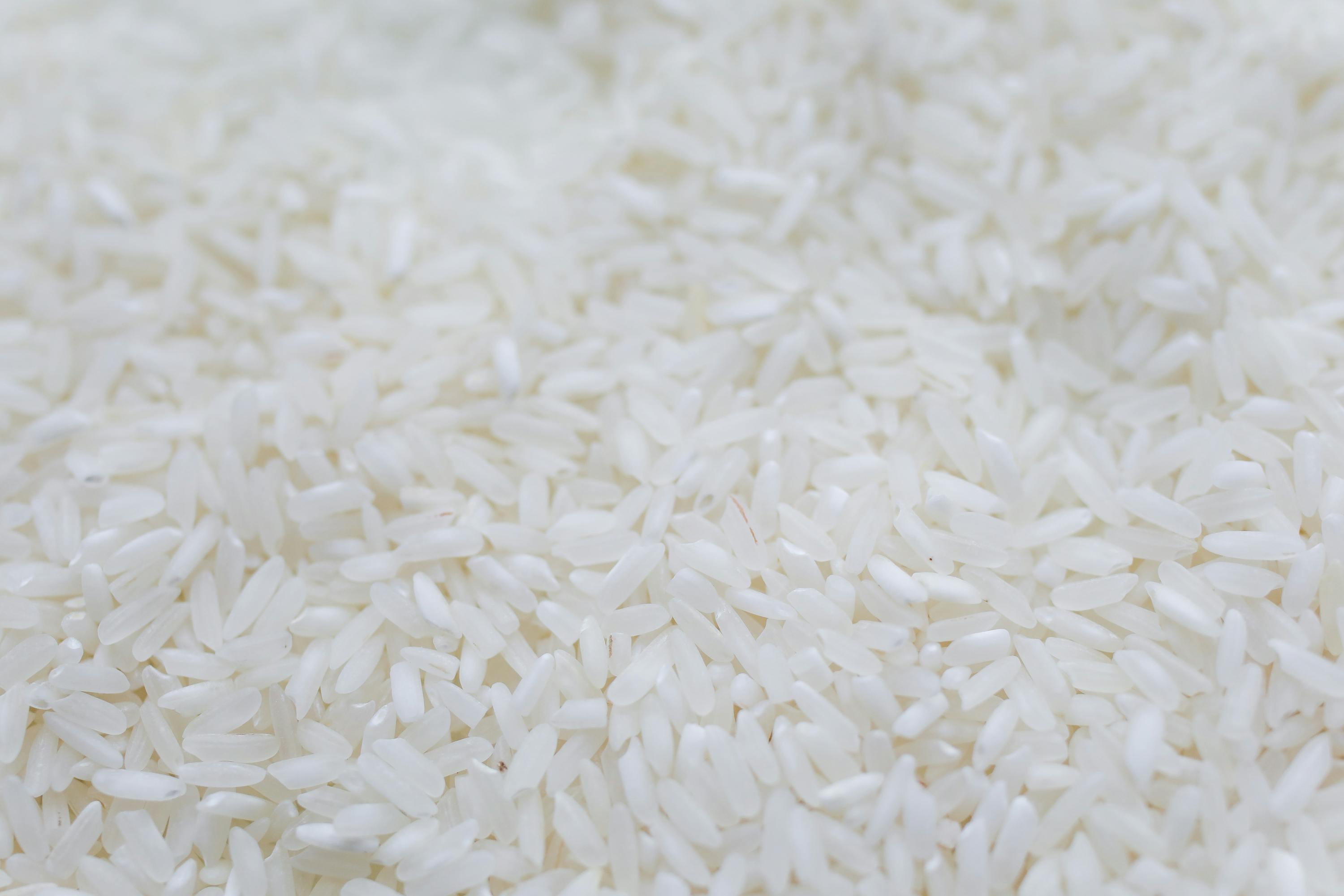 Rice